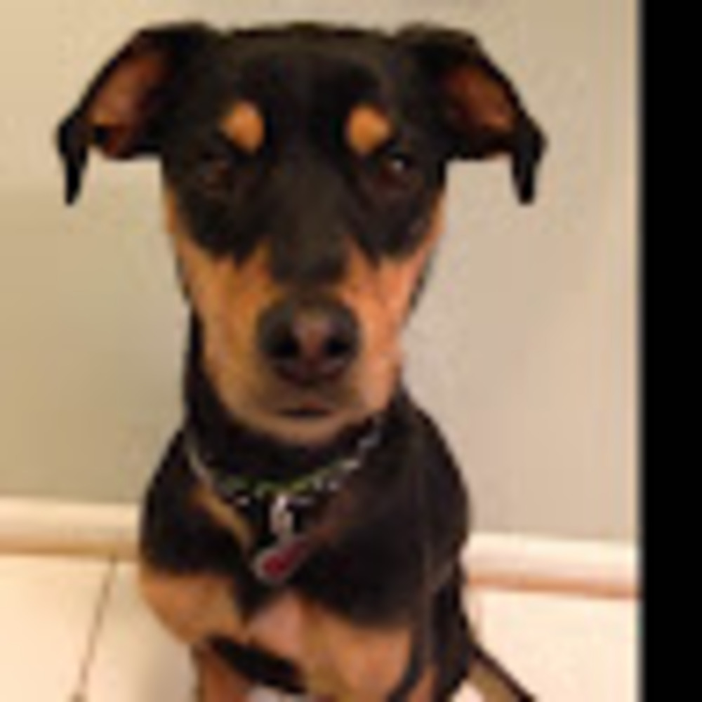 Meet your Posher, Natalie